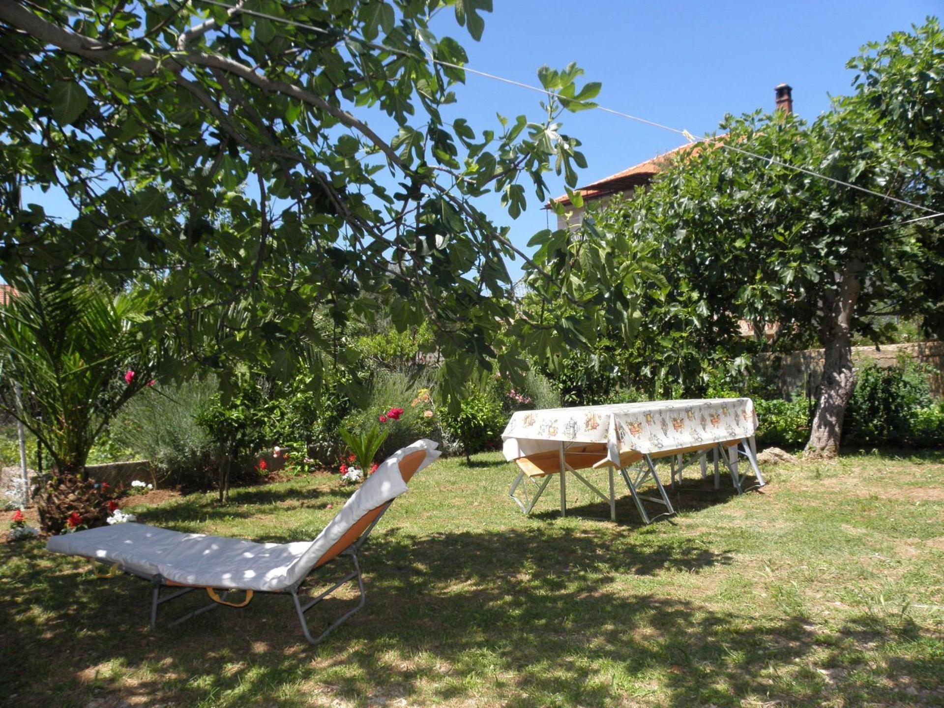 Apartments Zvone - 100 M From Sea Bibinje Exterior foto
